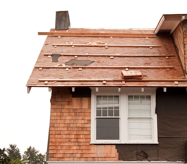 Affordable Siding Repair and Maintenance Services in Cozad, NE